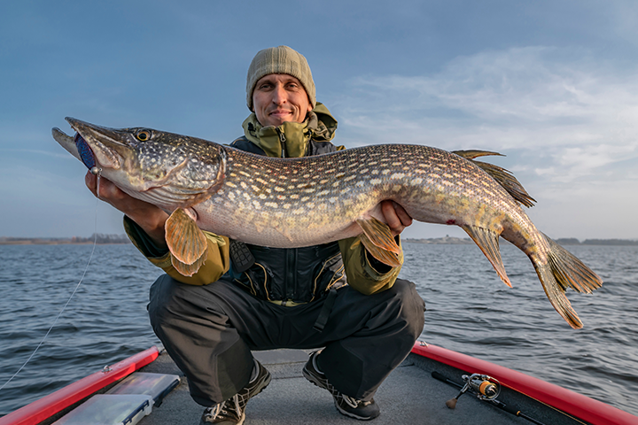 Tactique et technicité