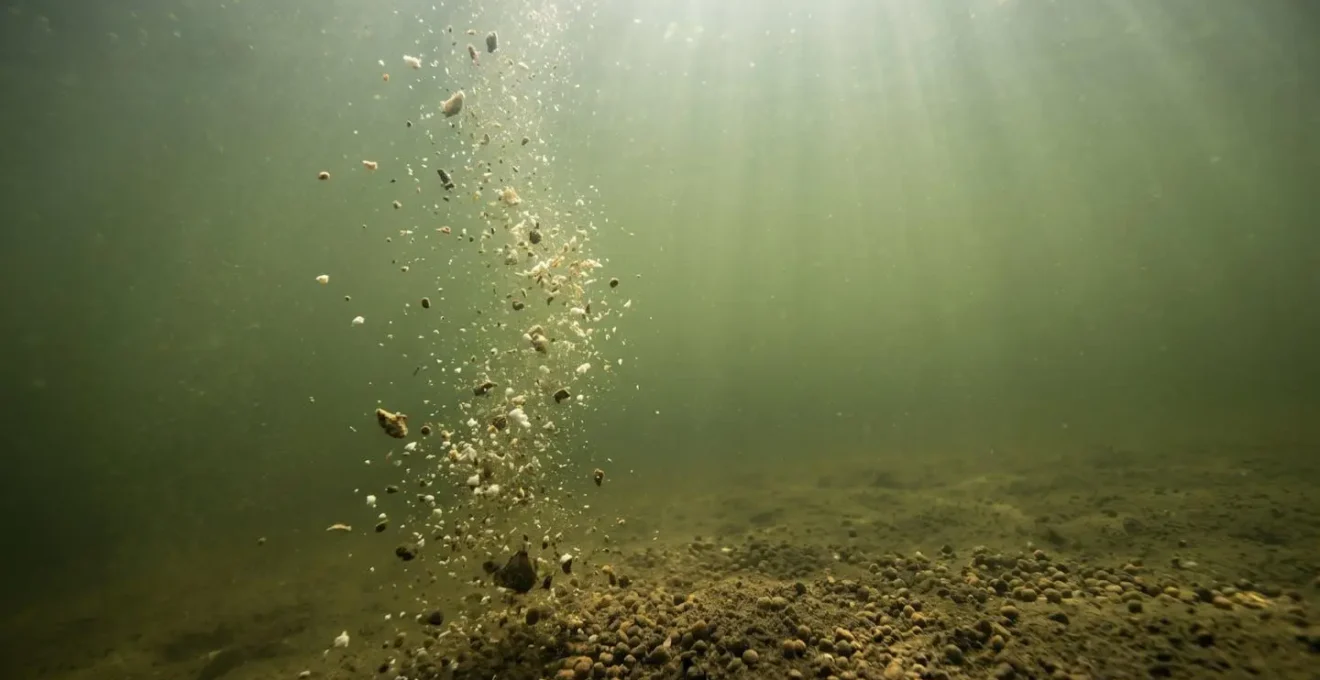 Vue sous-marine montrant la dispersion d'une amorce de pêche avec particules flottantes créant un nuage vertical et particules lourdes se déposant horizontalement sur le fond