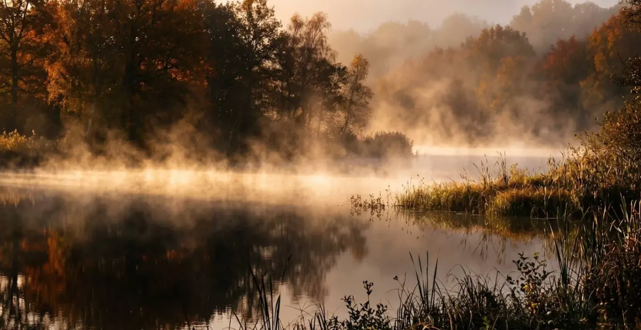 Brume matinale automnale s'élevant d'un étang français à l'aube avec reflets dorés