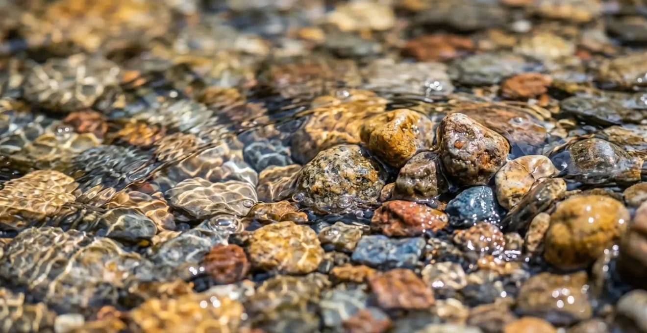 Dérive naturelle d'un appât dans un courant pyrénéen en étiage d'été