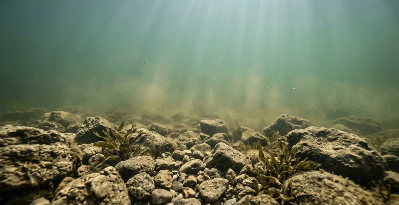 Vue environnementale minimaliste d'un fond rocheux de fleuve français où se cachent les écrevisses de Louisiane