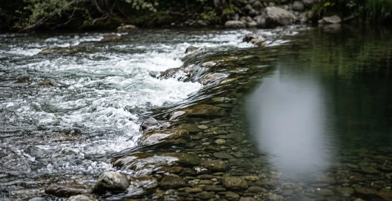 Frontière entre courant rapide et eau calme dans un gave pyrénéen