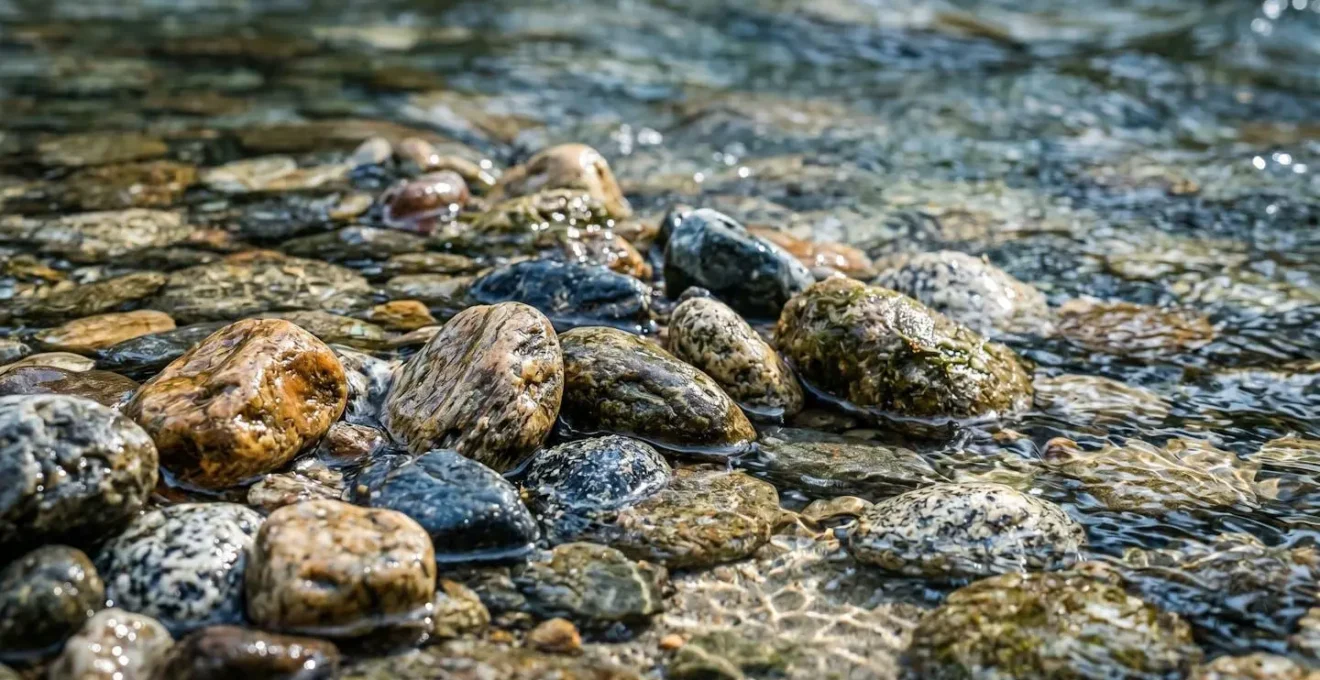 Gros plan sur une frayère naturelle restaurée montrant les graviers propices à la reproduction des truites