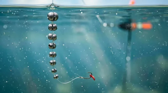 Montage précis d'une ligne de pêche au coup avec plombs dégradés et flotteur équilibré pour la détection des touches en relevé
