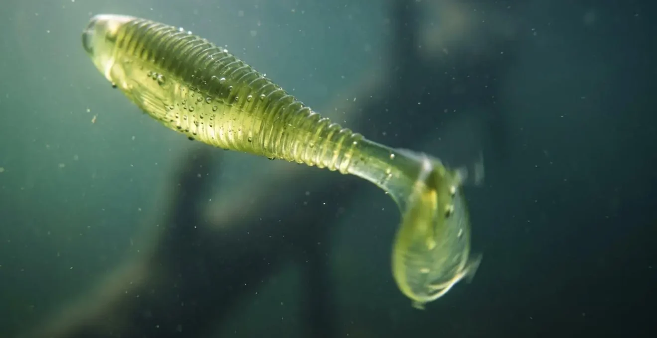 Détail macro d'un leurre souple dans l'eau avec textures et vibrations visibles