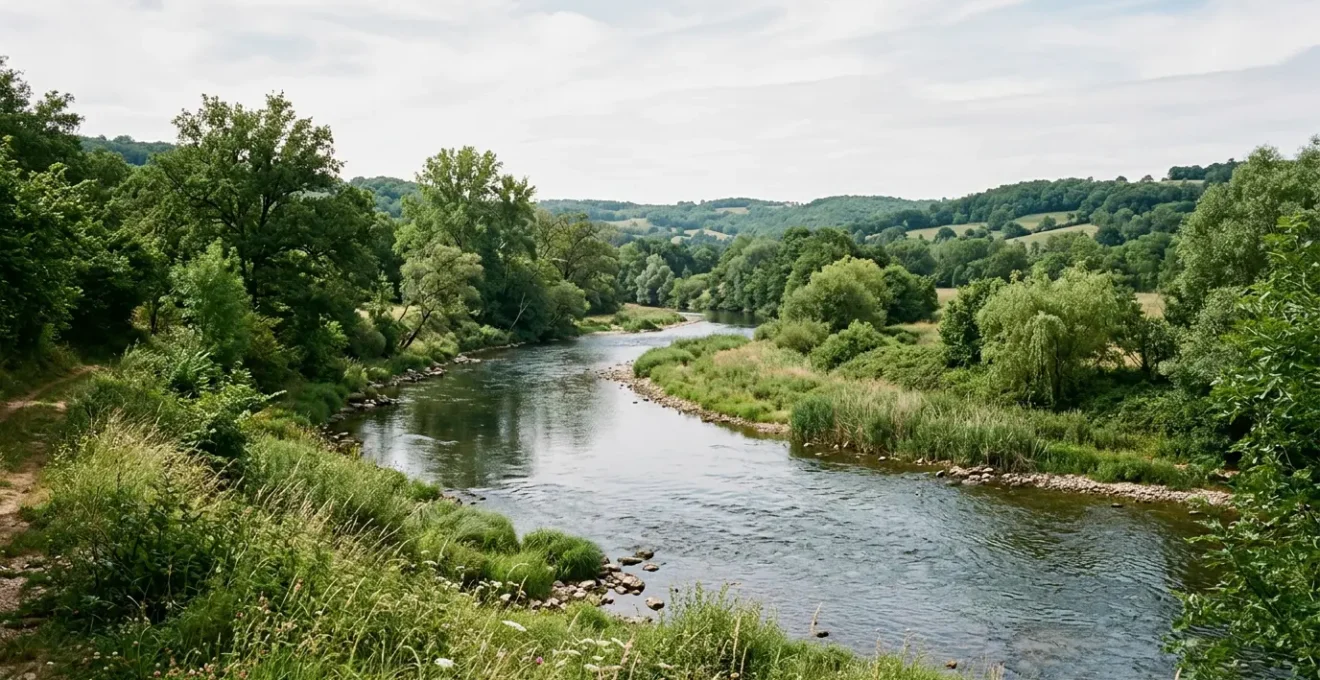 Vue panoramique d'une rivière française avec berges naturelles et végétation dense illustrant les zones de pêche réglementées