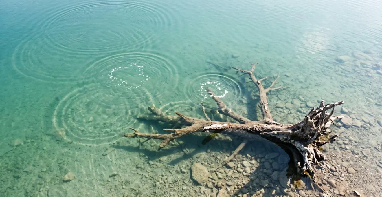 Vue aérienne stylisée montrant progression méthodique du pêcheur autour d'une structure immergée