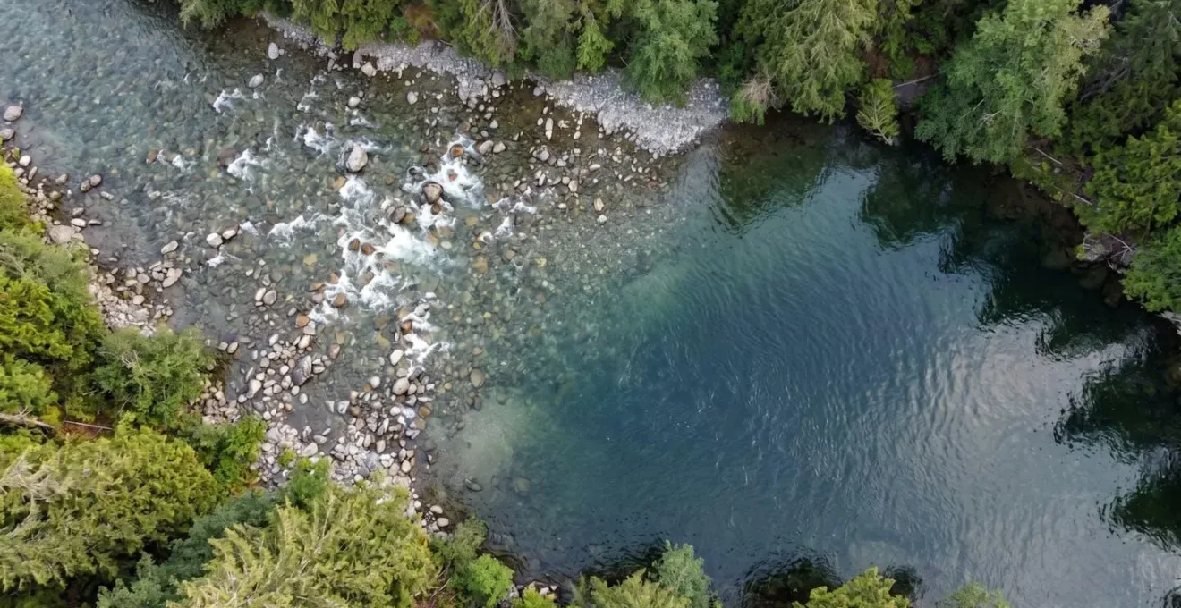 Vue aérienne rapprochée de la transition entre un radier peu profond et une fosse plus calme en rivière